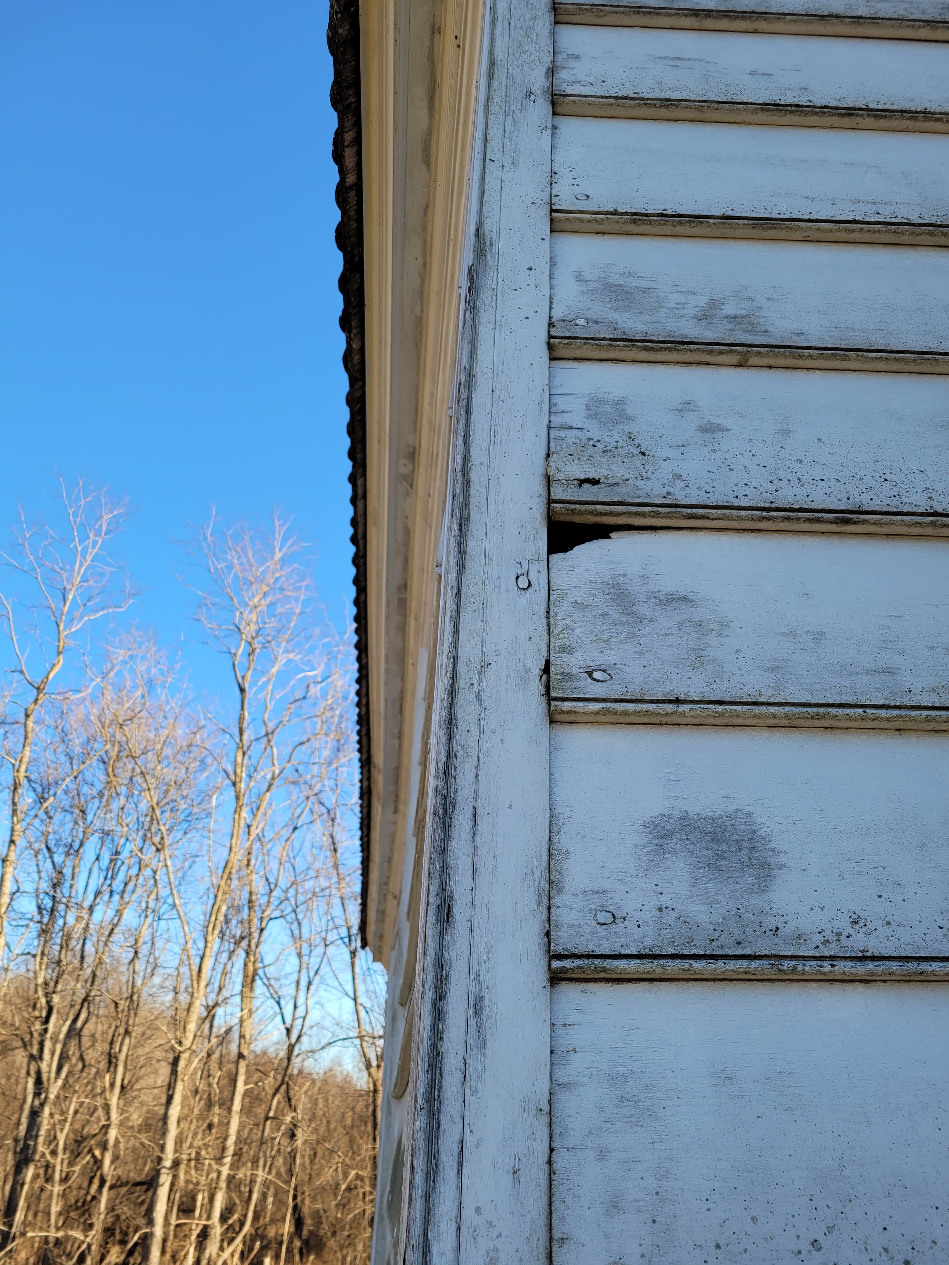 Rotted wood on the building's exterior