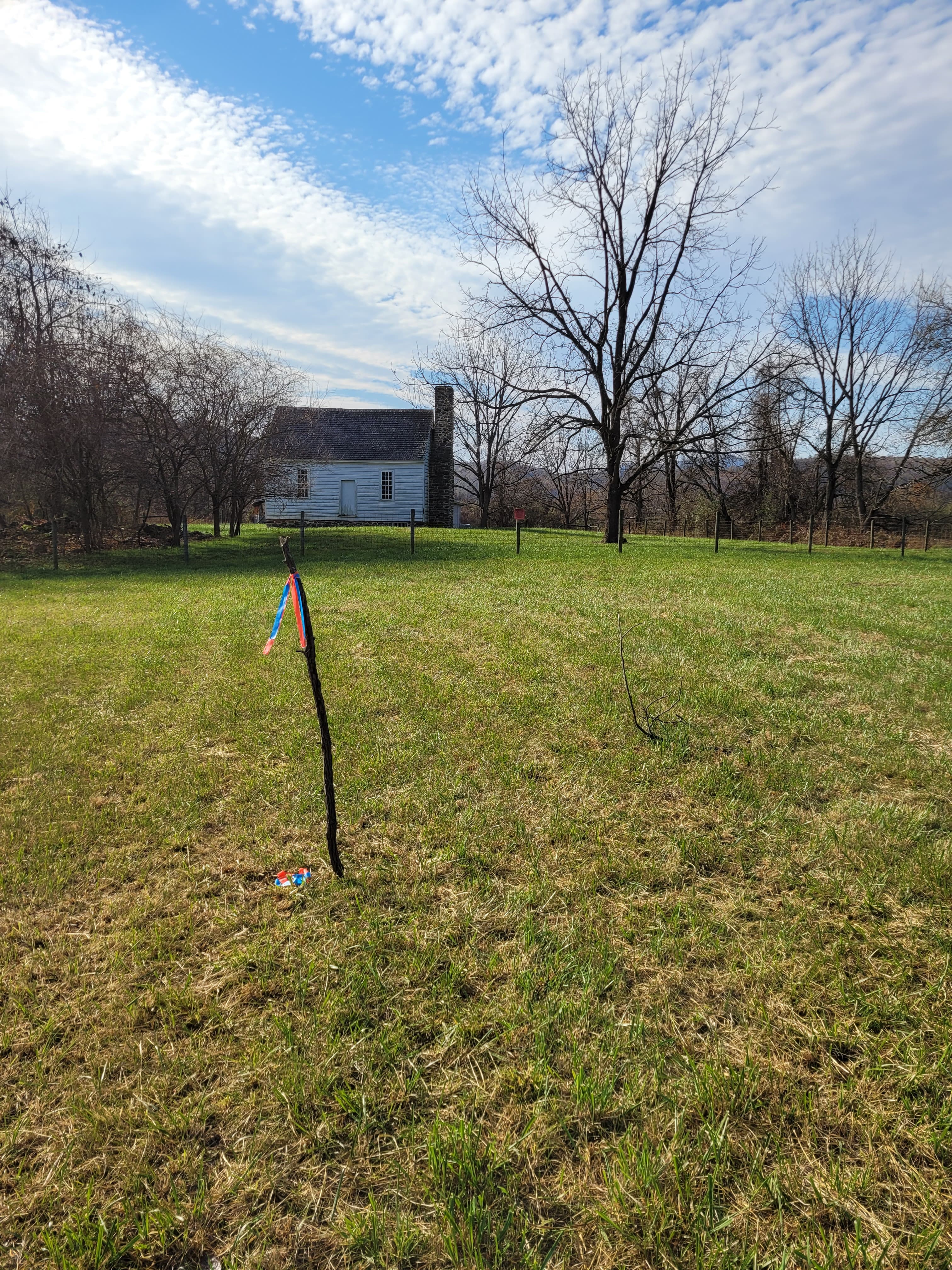 an image of where the parking lot would go near the house